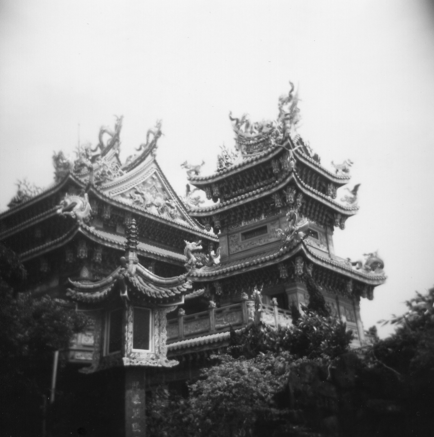 photo, 2003